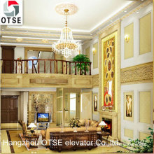 OTSE panoramic villa elevator/Small home elevator